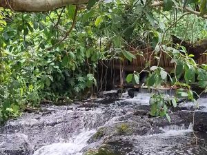 Río Limón, Caluco, Sonsonate.