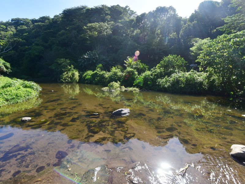 Conectate con lo simple, lo natural y lo auténtico. Así se siente Las Colmenas.