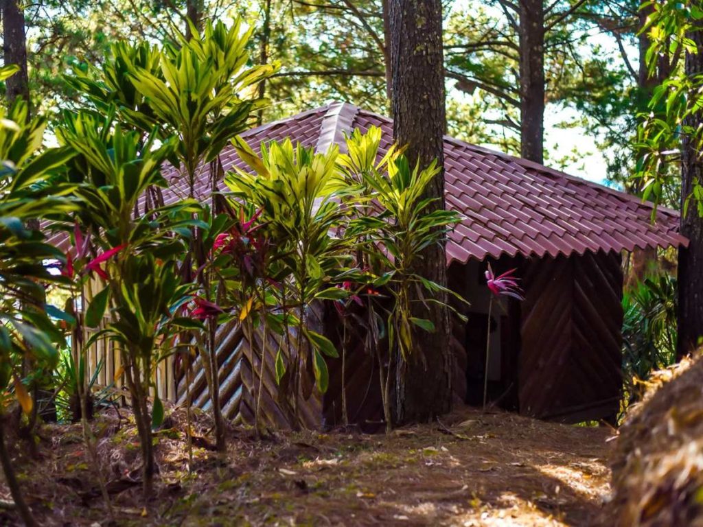 Cerro El Pericón, Arambala.