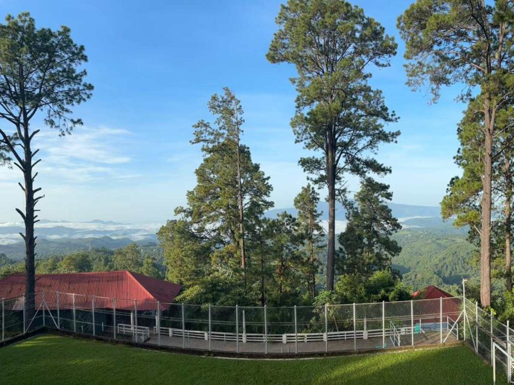 Cerro El Pericón, Arambala.