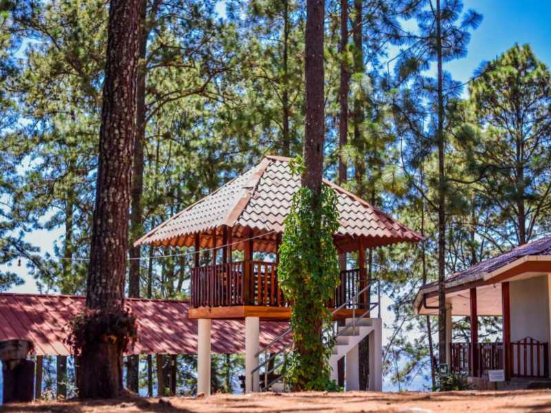 Cerro El Pericón, Arambala.