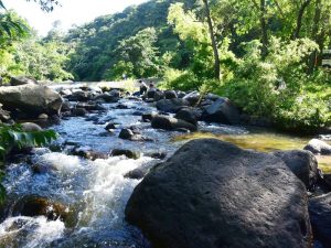 Un rincón escondido entre las montañas de Talnique: agua limpia, sombra natural y tranquilidad absoluta.