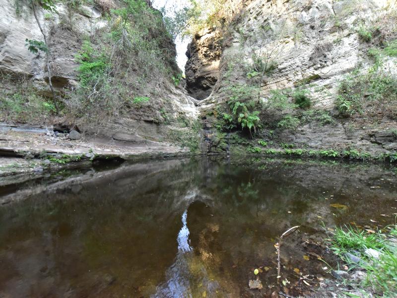 A unos metros se encuentra la Barranca Del Sisimico.