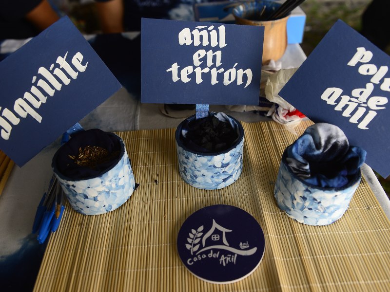 Planta jiquilite, añil en terrón y polvo de añil.