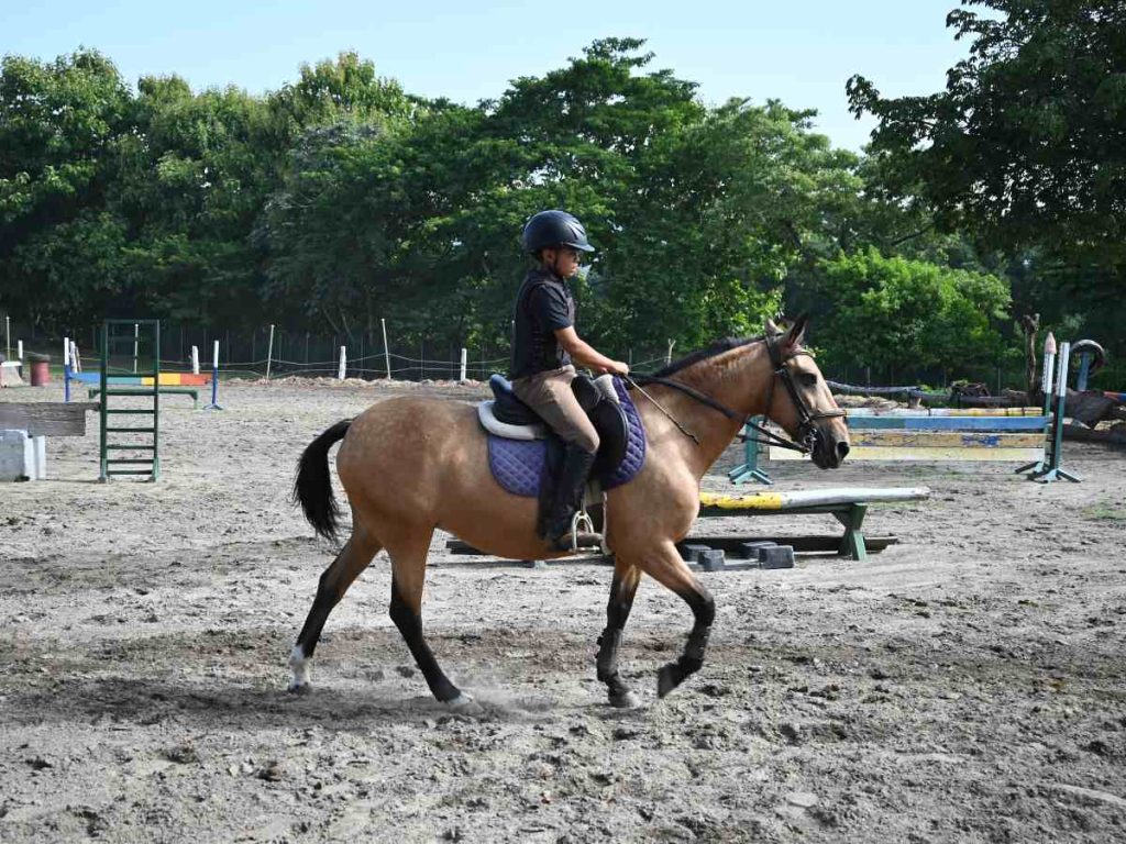 montar a caballo fortalece músculos y mejora la coordinación, mientras el jinete aprende a comunicarse con su compañero equino.