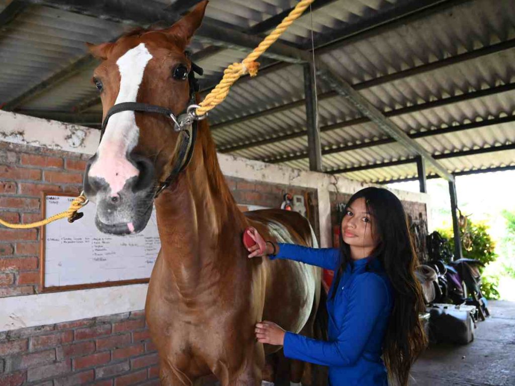 Antes de montar, los jinetes aprenden a cepillar y cuidar al caballo, creando confianza y respeto mutuo.