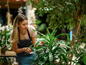 Podar con cuidado ayuda a que las plantas crezcan sanas. Retirar hojas secas o dañadas favorece su desarrollo y mejora su apariencia.