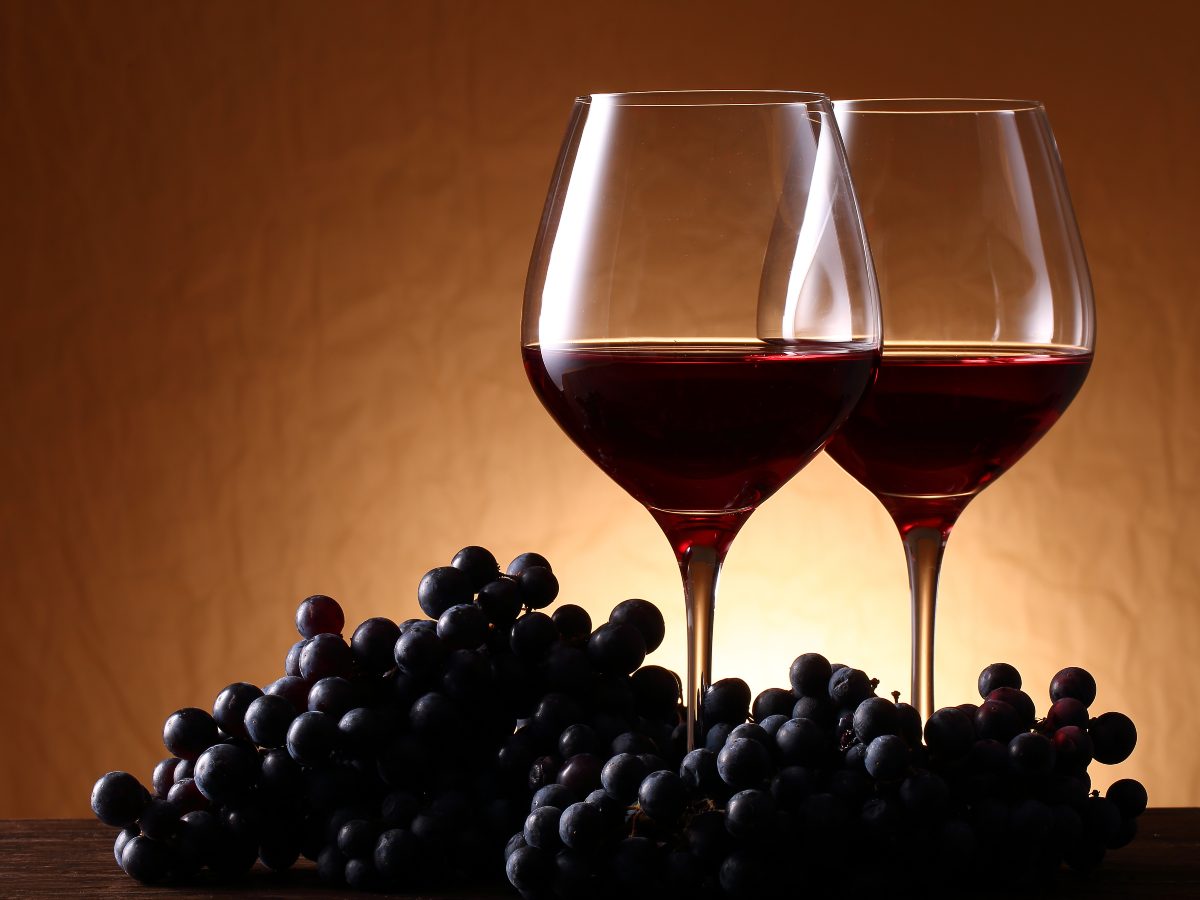 El vino chileno se ha ganado un lugar en la mesa salvadoreña por su calidad y diversidad, ofreciendo desde tintos intensos hasta blancos frescos para cada ocasión y maridaje.