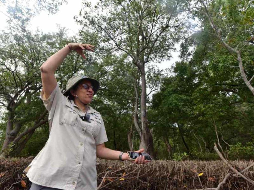 Deysi Herrera, bióloga de FIAES, es una de las especialistas que monitorea constantemente el estero junto a la institución. Foto elsalvador.com