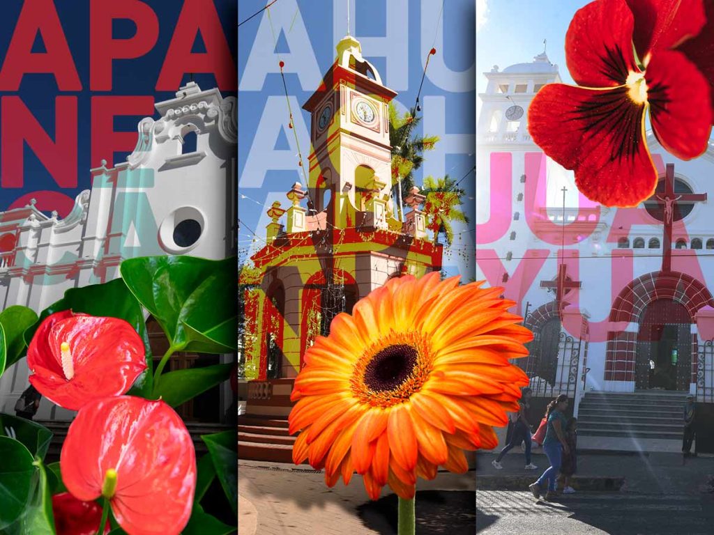 Flores representativas de la Ruta de las Flores