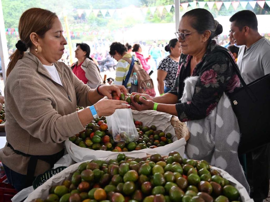 Feria del jocote corona 2025