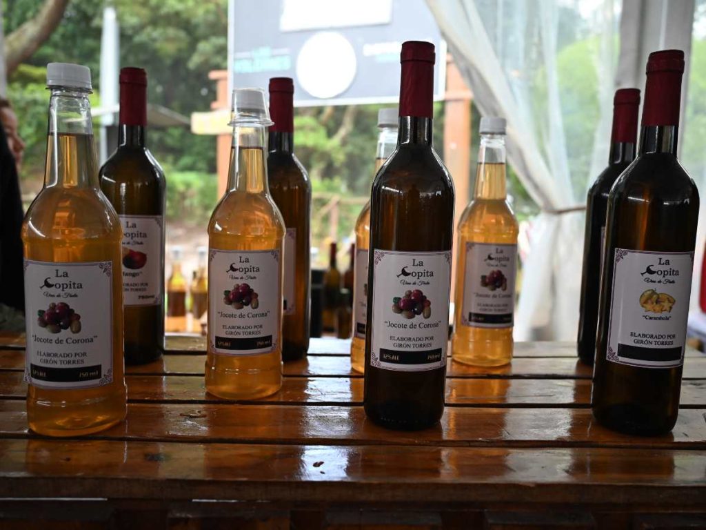 Feria del jocote corona 2025