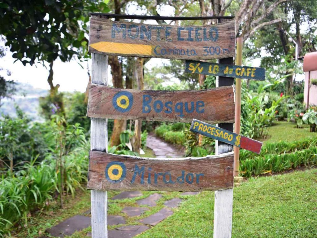 Montecielo ofrece descanso total en cabañas rodeadas de jardines, flores y vistas espectaculares de Ataco.