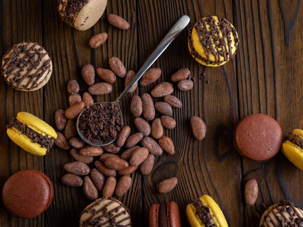 El programa de reforestación con cacao busca restaurar suelos, proteger la biodiversidad y abrir oportunidades económicas en comunidades del país.