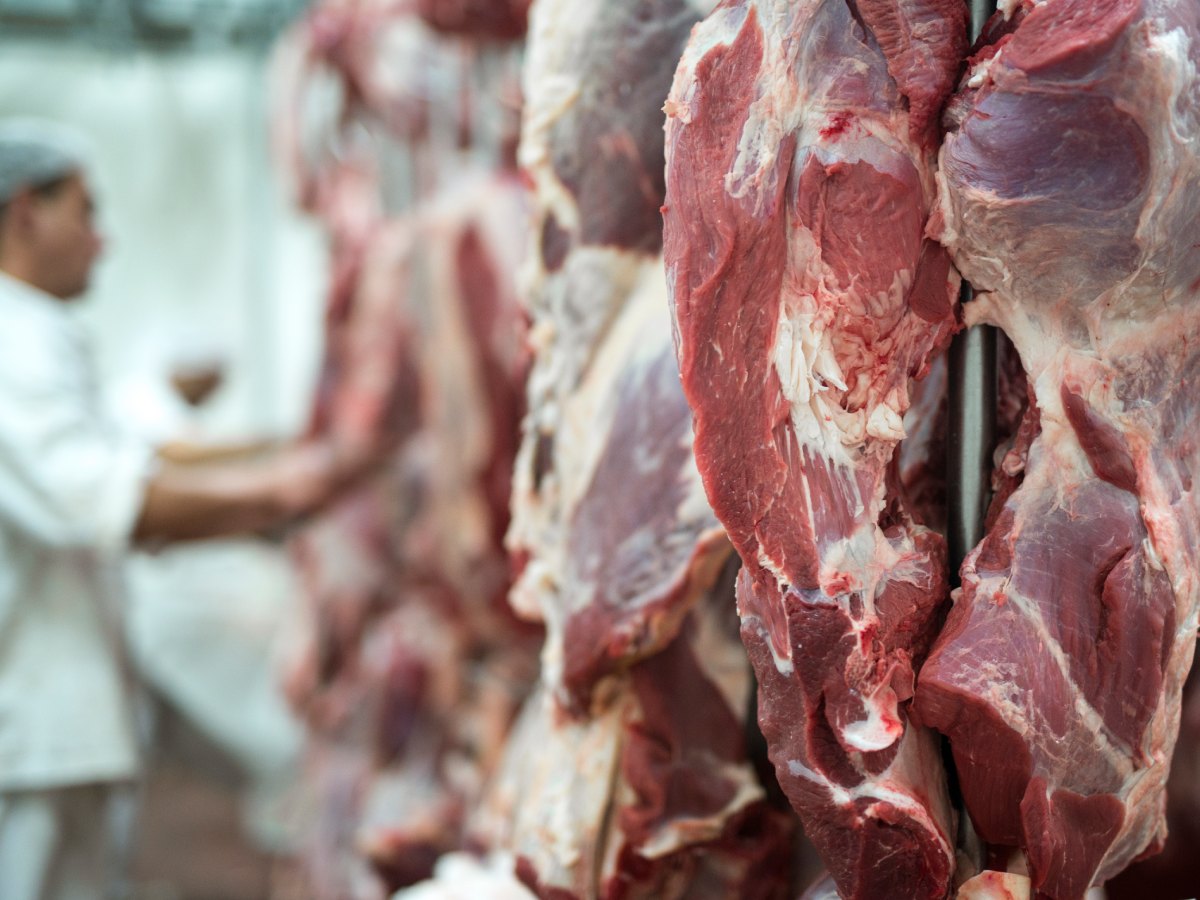 Carne paraguaya entra al mercado salvadoreño. Foto/ freepik