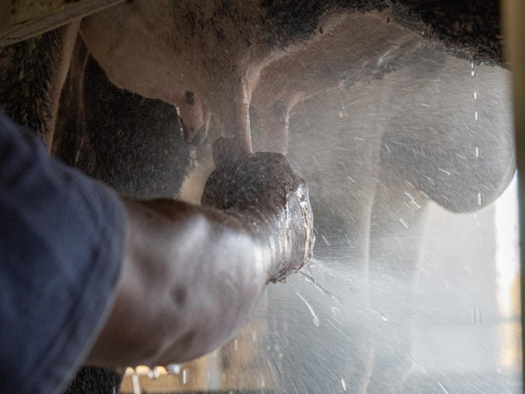Santiago Sosa y su familia gestionan Lácteos Soavi, emprendimiento que integra ganadería y producción de lácteos.