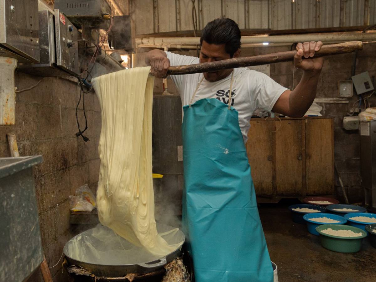 Proceso de elaboración de quesos artesanales en Lácteos Soavi, a partir de leche proveniente de su propio ganado.
