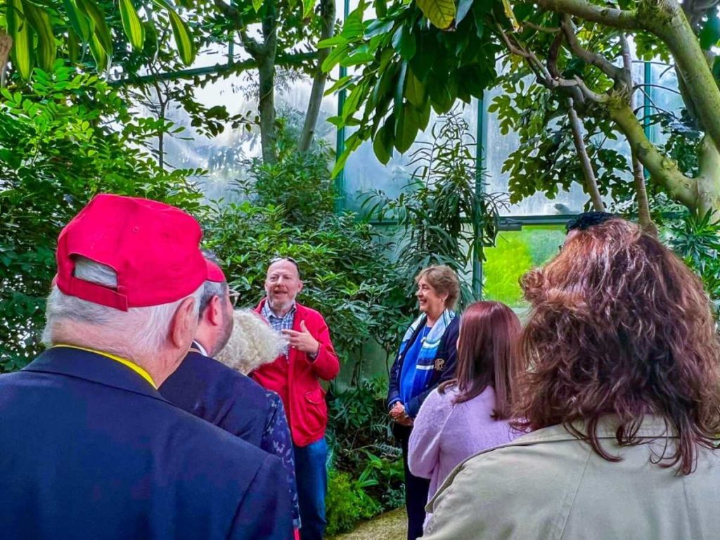 Árbol Nacional de El Salvador en Paris