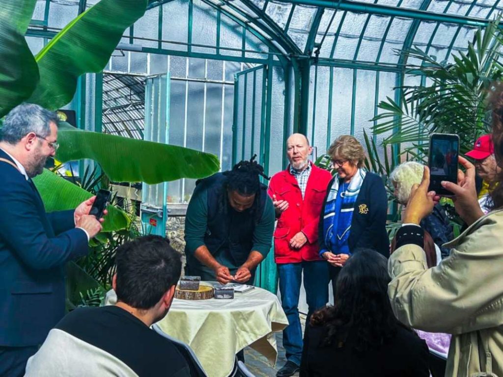 Árbol Nacional de El Salvador en Paris
