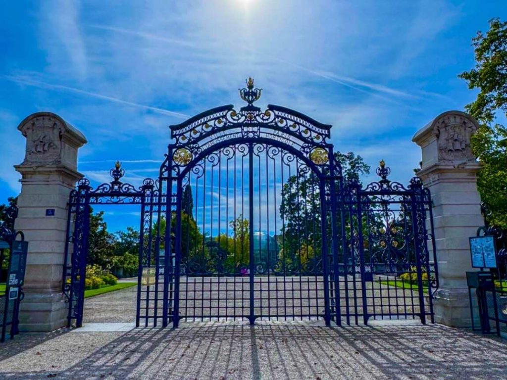 Árbol Nacional de El Salvador en Paris