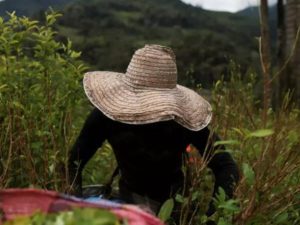 Buques estadounidenses en el Caribe han intensificado operativos antidrogas en zonas cercanas a Colombia, elevando la tensión diplomática.