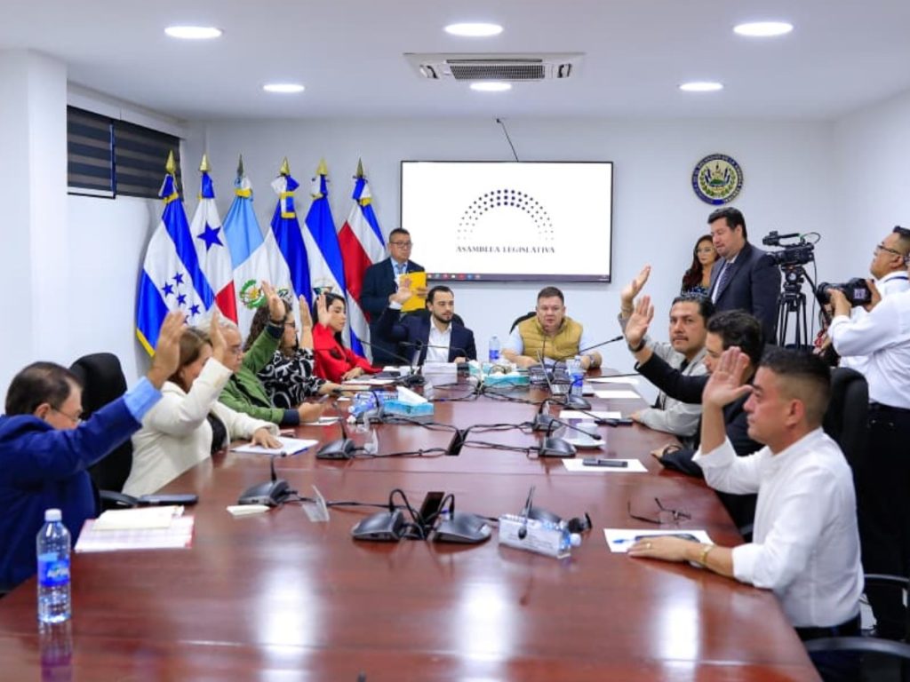 Diputados de la Comisión de Hacienda avalaron un dictamen que busca extender por 60 días el plazo para que los contribuyentes paguen sus deudas sin intereses. Fotografía/ Asamblea Legislativa