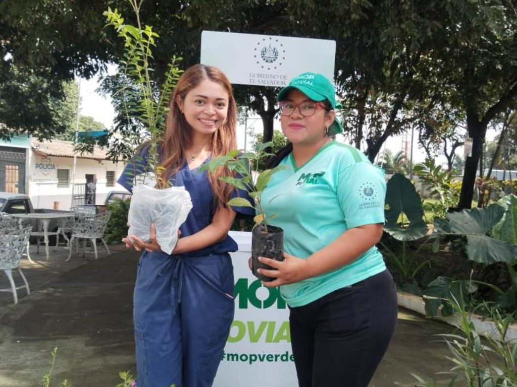 Entrega de arbolitos gratis MOP