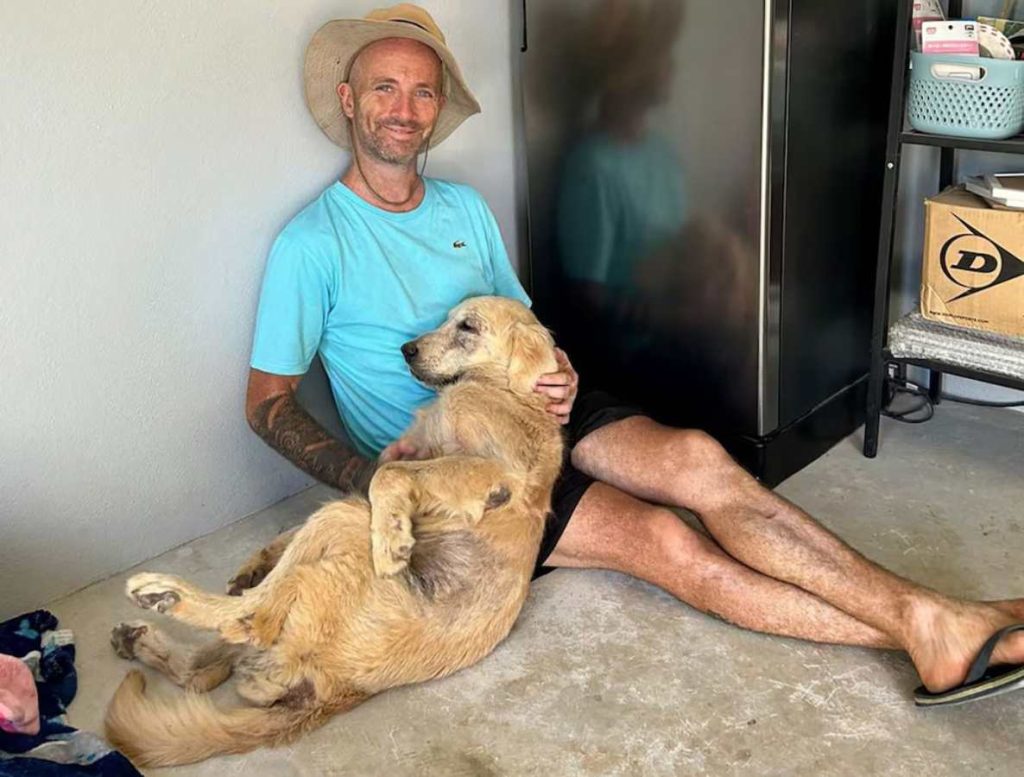 Niall Harbison rescatista de perros