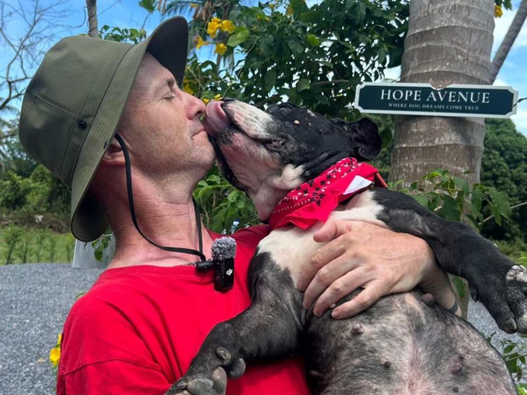 Niall Harbison rescatista de perros