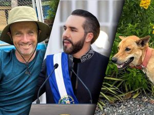 Niall Harbison rescatista de perros