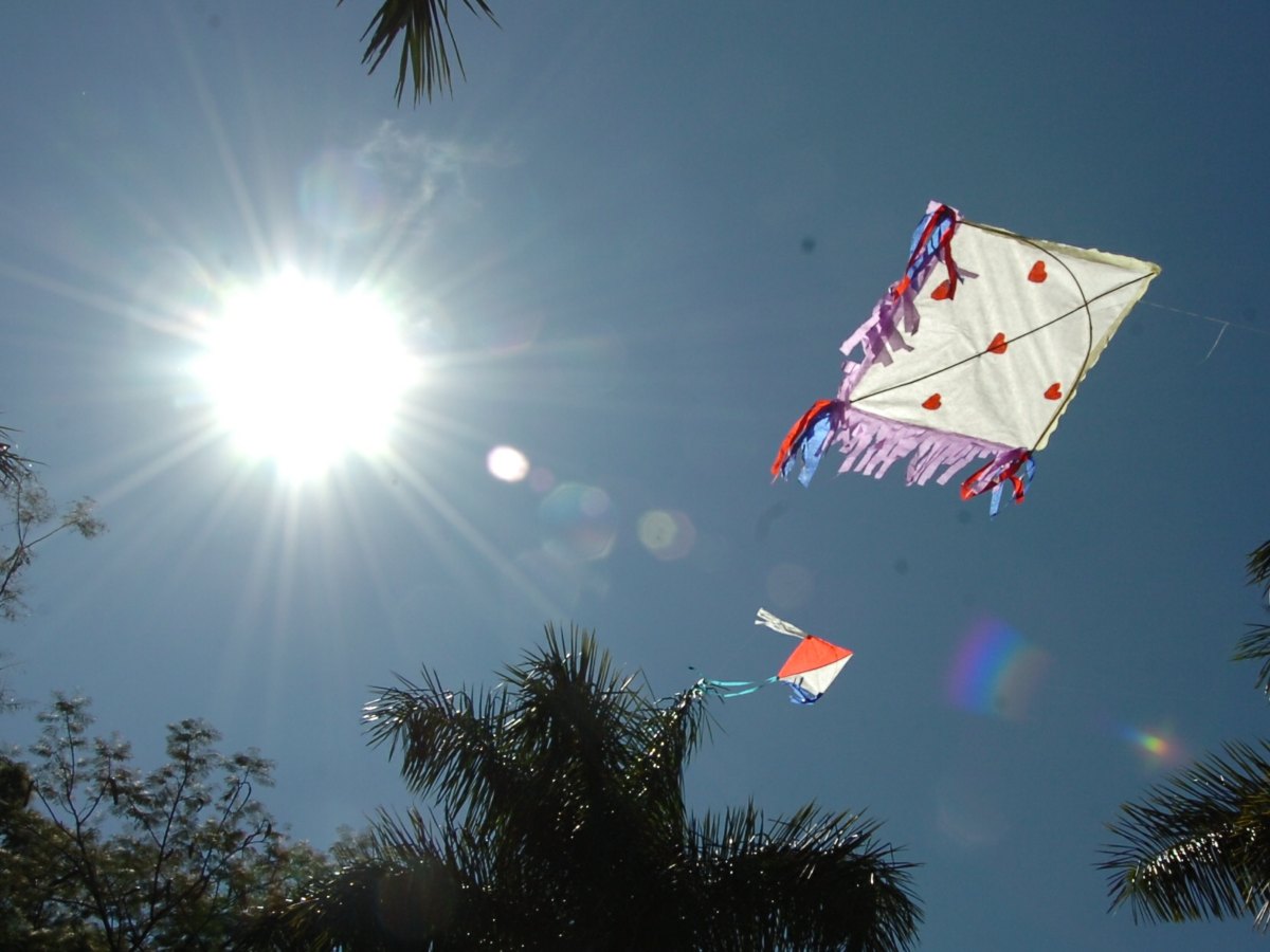 Los Vientos Nortes se mantienen activos en varias zonas del país, con ráfagas que alcanzan hasta 44 km/h.