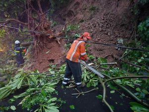 FOVIAL y MOPT atendieron deslizamientos y caída de árboles en distintas carreteras afectadas por las lluvias.
