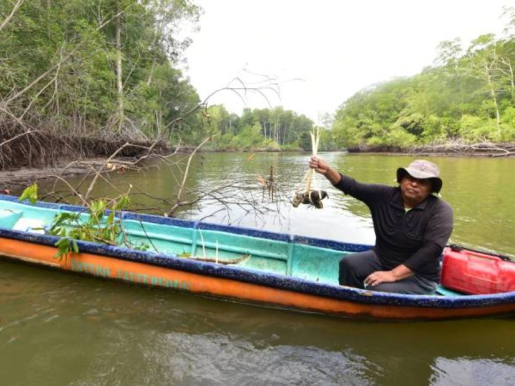 Ana Santana mientras recoge punches en las aguas del Estero de Jaltepeque. Foto: elsalvador.com