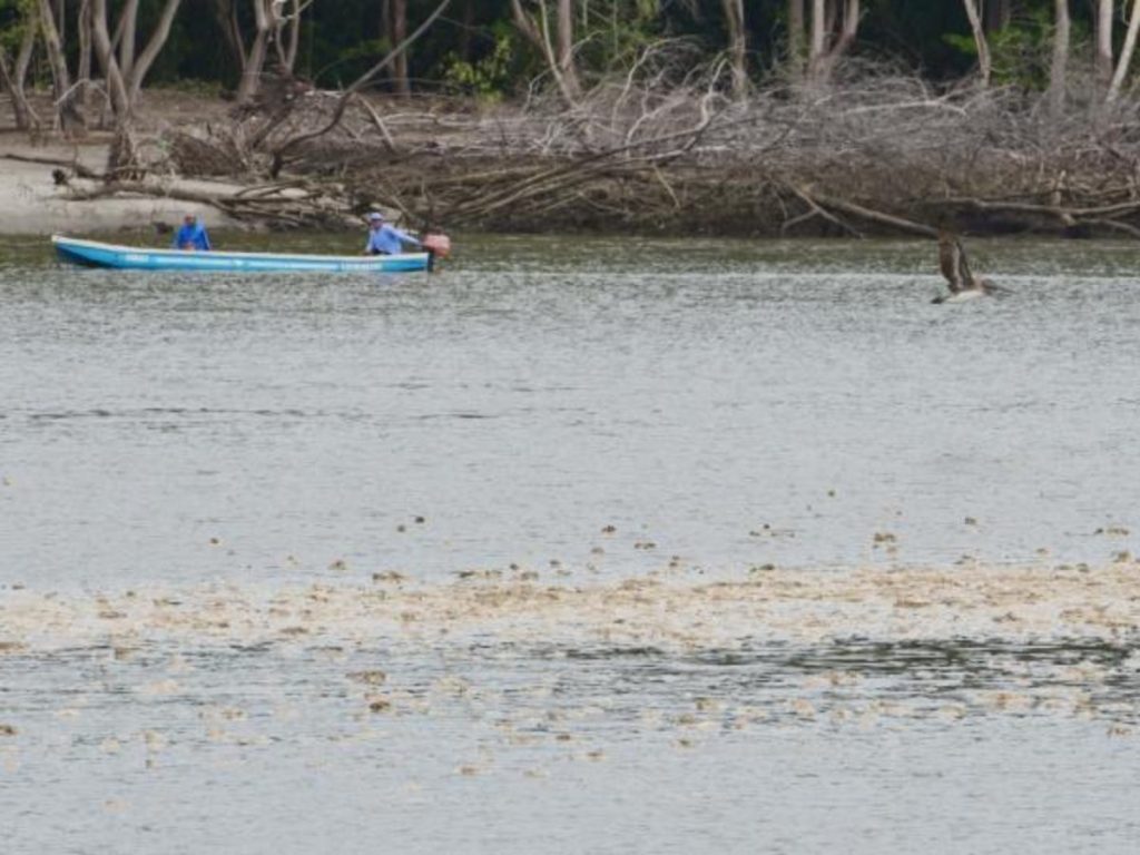 Parte de los desechos vistos en la bocana del río Lempa que conecta con el Estero de Jaltepeque. Foto: elsalvador.com