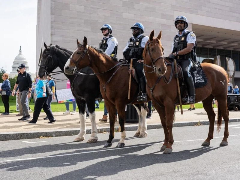 Miembros de la Policía montada de EE.UU. observando a los manifestantes de la protesta este sábado, en Washington (EE.UU.).