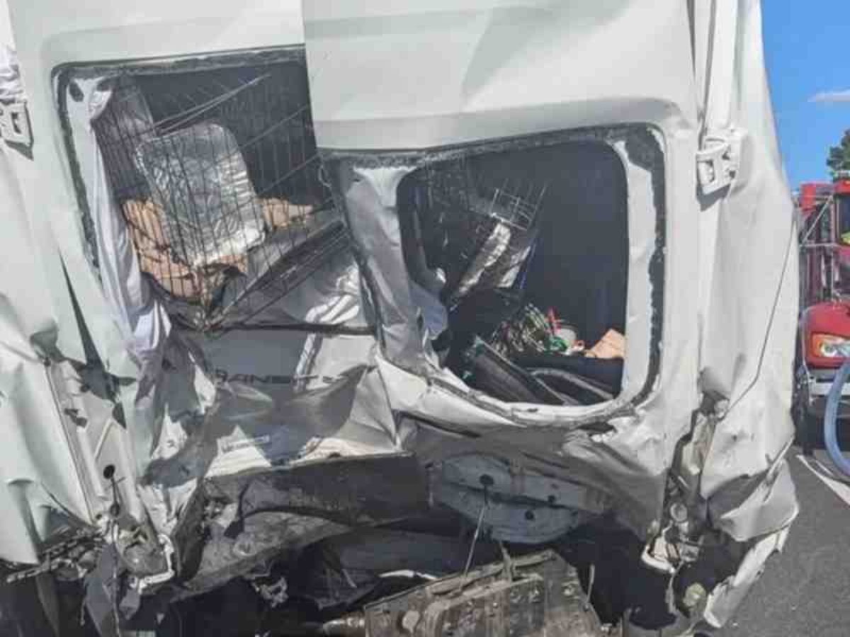 Ocho salvadoreños, entre ellos cinco menores y una mujer embarazada, fallecieron en un accidente vial en la carretera interestatal I-85 en Georgia, EE. UU.