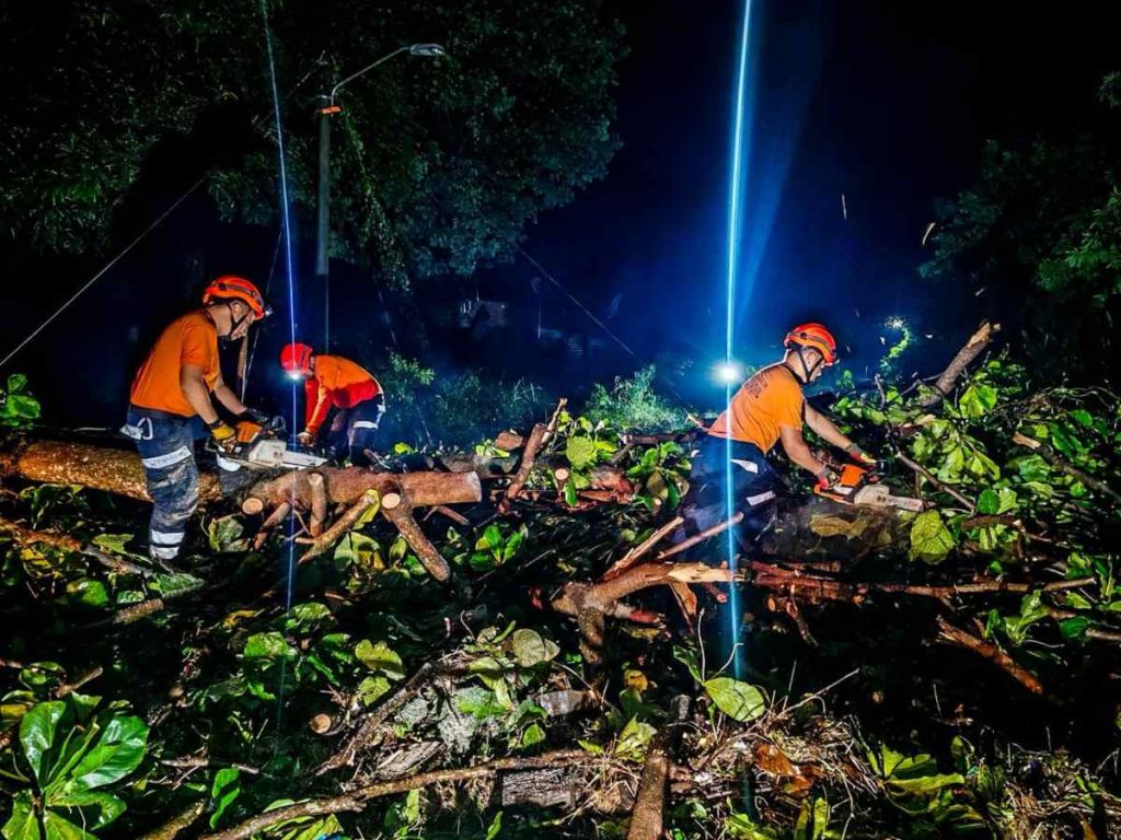 Equipos de Protección Civil trabajan en el retiro de árboles caídos tras las lluvias en Santa Ana.