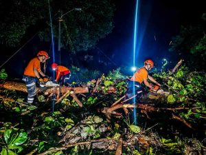 Equipos de Protección Civil trabajan en el retiro de árboles caídos tras las lluvias en Santa Ana.