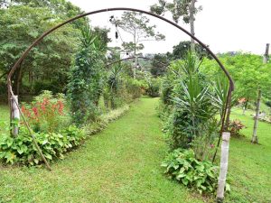 Senderos rodeados de naturaleza, flores y tranquilidad te esperan en Buena Vista Gardens, un destino para reconectar con lo esencial en Juayúa.