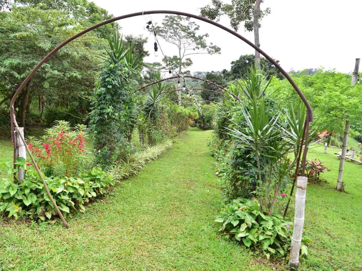 Senderos rodeados de naturaleza, flores y tranquilidad te esperan en Buena Vista Gardens, un destino para reconectar con lo esencial en Juayúa.