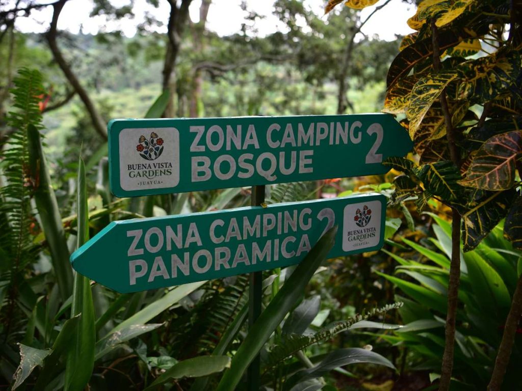 En Buena Vista Gardens podés elegir entre zona de camping en el bosque o con vista panorámica, ambas rodeadas de naturaleza y tranquilidad.