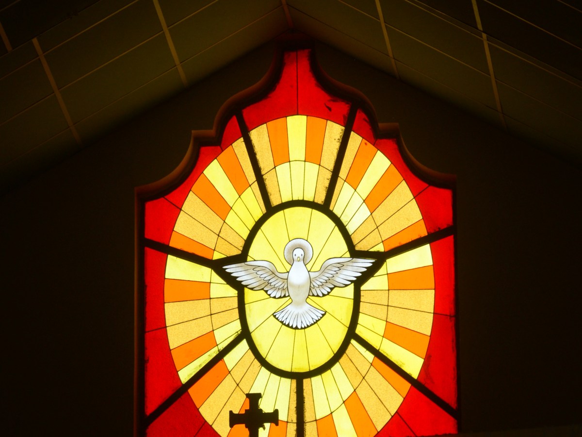 turismo-catedral-san-vicente-15