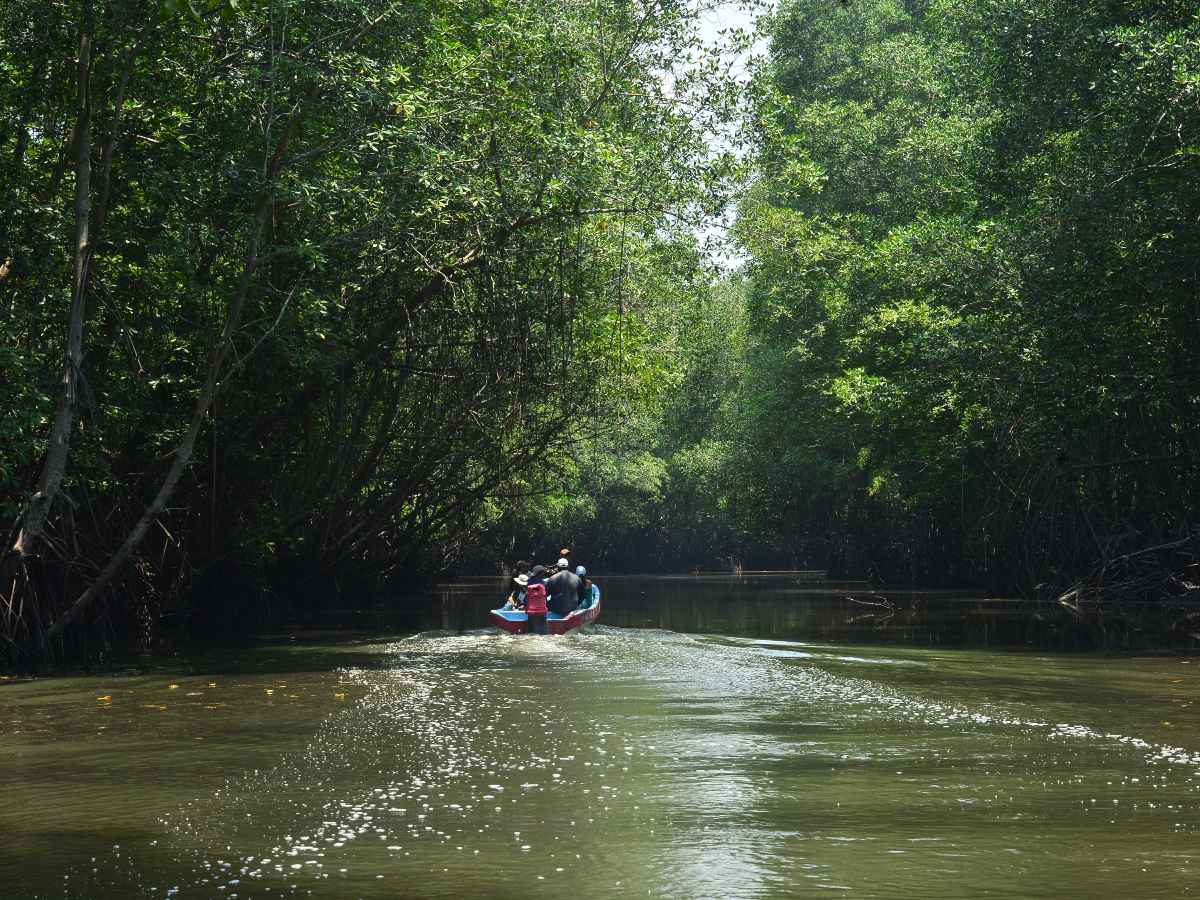 Los Esteros son ecosistemas, que incluyen manglares, lagunas y esteros, son esenciales para la biodiversidad, la pesca artesanal y la protección contra el cambio climático. Foto: elsalvador.com