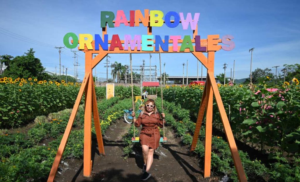 Festival de Otoño en El Salvador