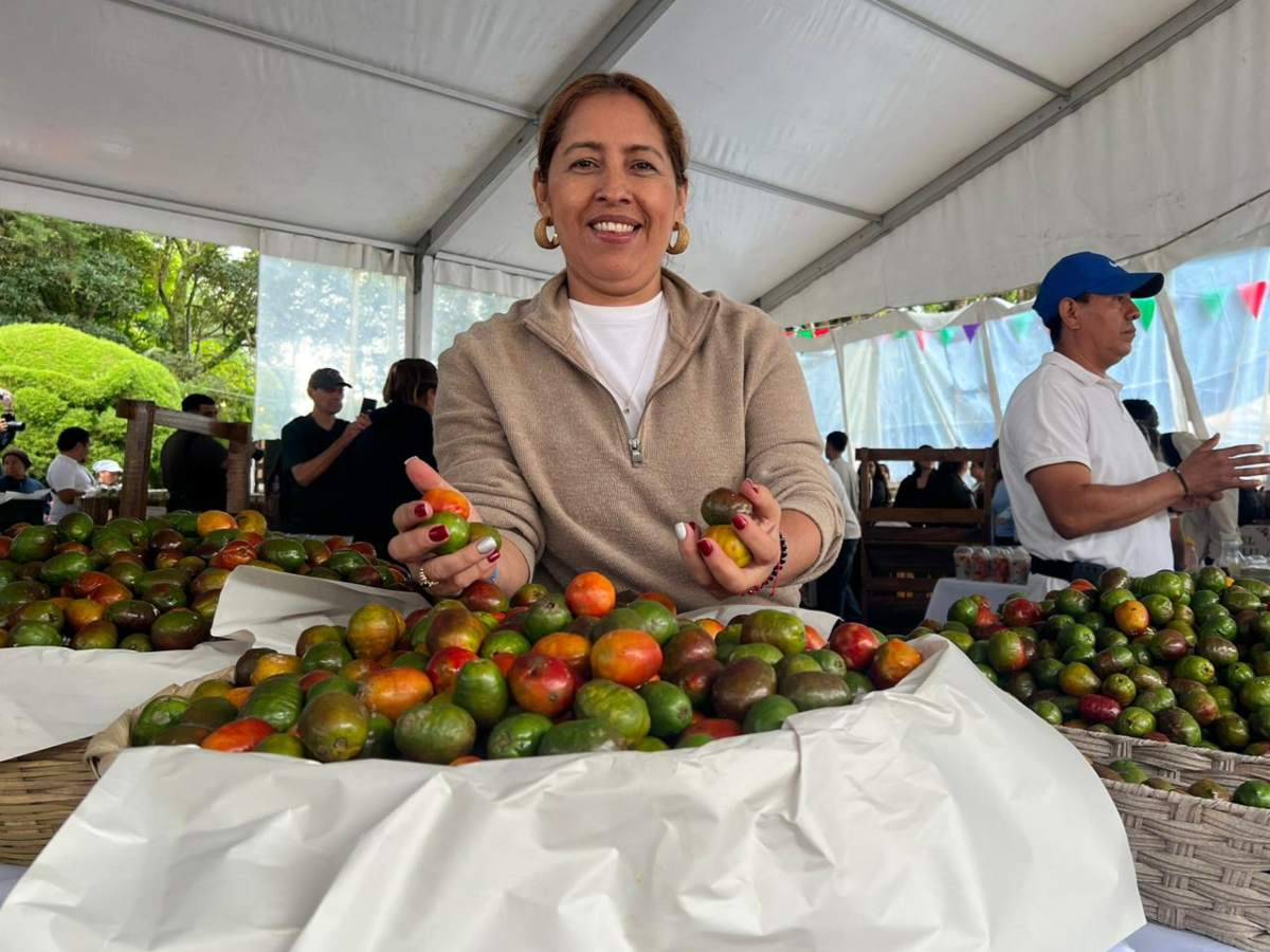 El parque Cerro Verde recibe a más de 10,000 visitantes durante la Feria del Jocote, según estimaciones del ISTU.