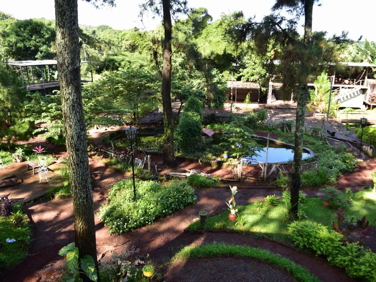 turismo-galeria-ahuachapan-el-bosque-2