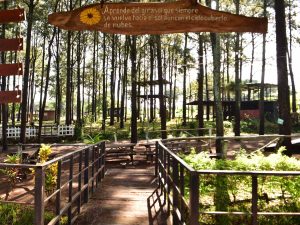 turismo-galeria-ahuachapan-el-bosque-3