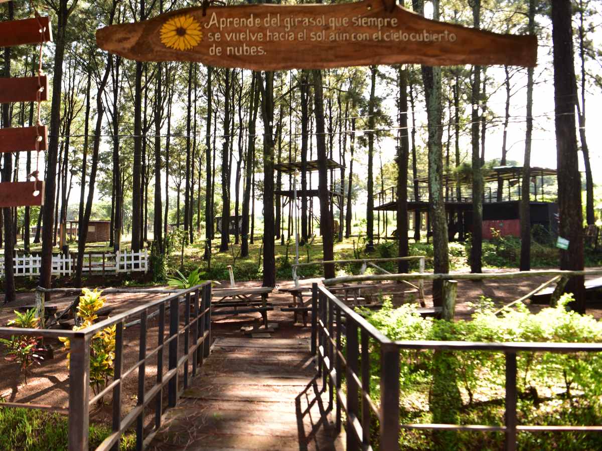 Ahuachapán florece entre cafetales, volcanes y nuevas experiencias que combinan naturaleza, sabor y tradición. Fotografía/ elsalvador.com