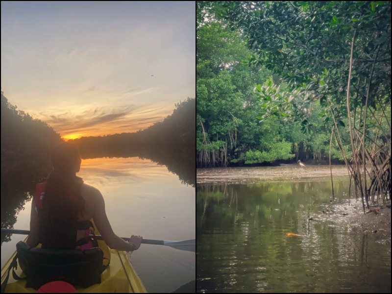 Casi al final del canal de manglares, rumbo al atardecer (Izq.). A la derecha, una garza en la zona. / Foto cortesía