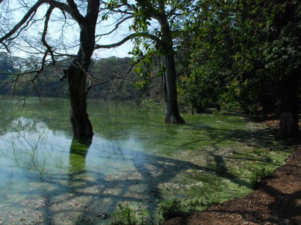 Lagunas que cuentan leyendas en El Salvador